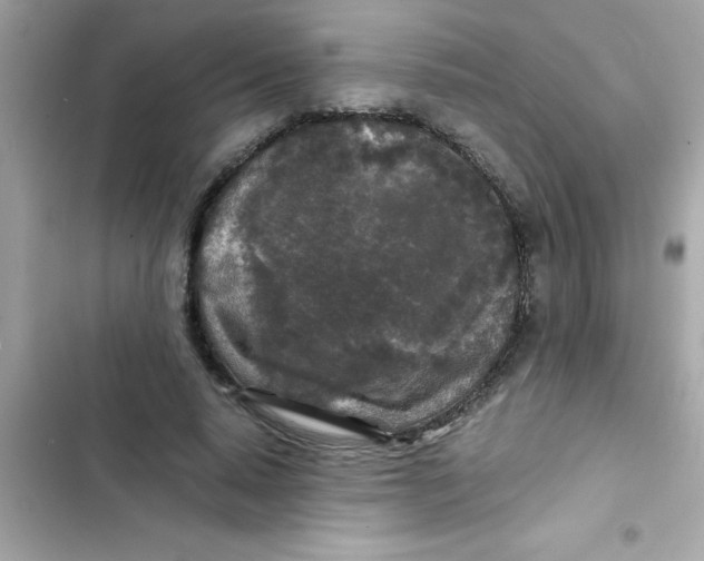 X0000103130640200809191942
