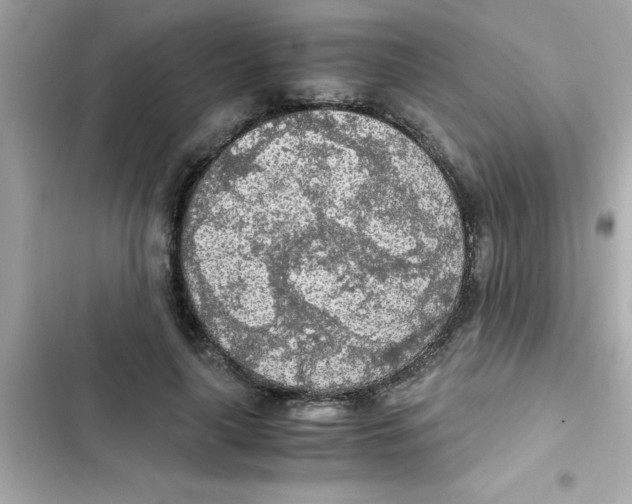 X0000103130643200809191942