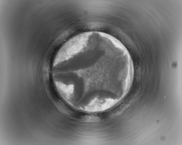 X0000103130644200809191942