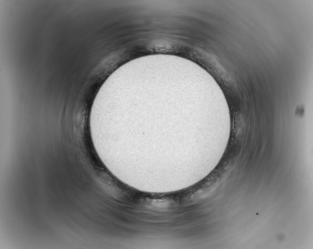X0000103130645200809191942