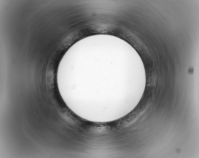 X0000103130646200809191942
