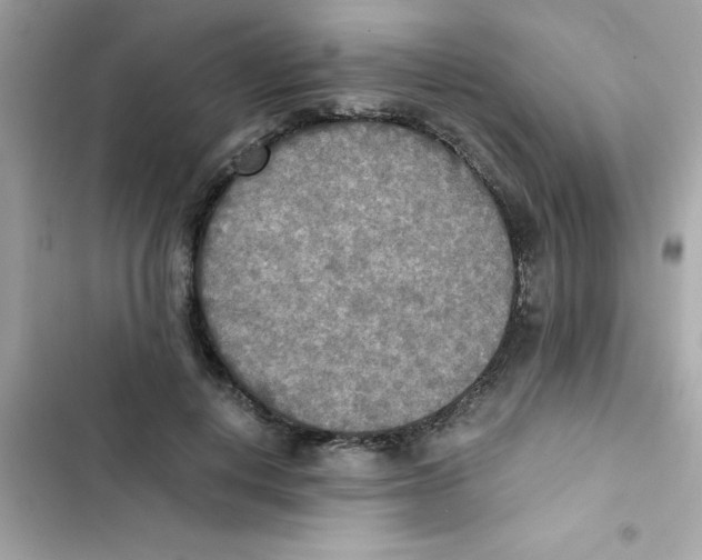 X0000103130648200809191942