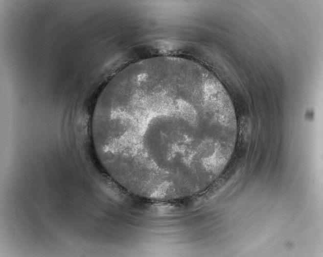 X0000103130650200809191942