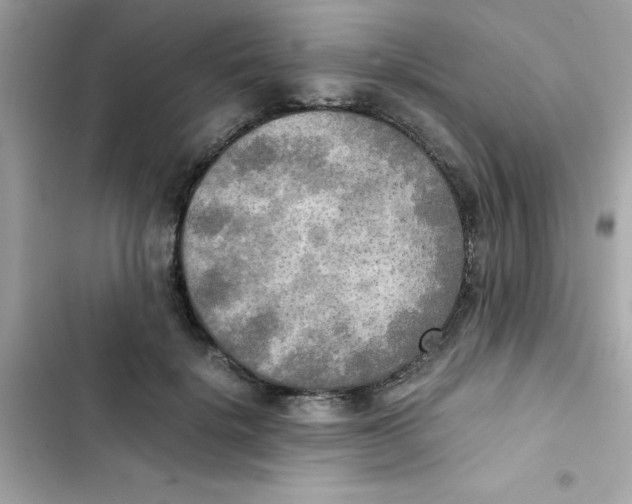 X0000103130652200809191942
