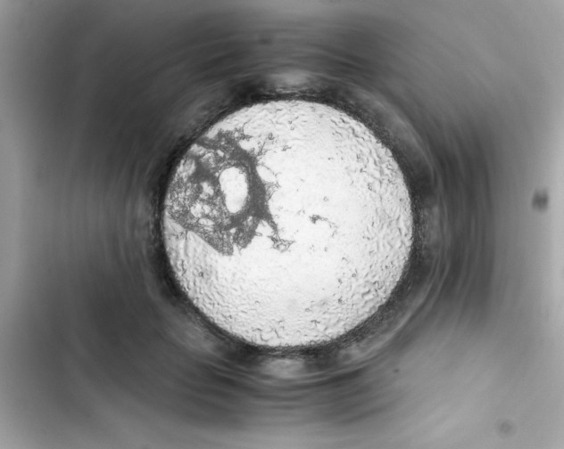 X0000103130653200809191942