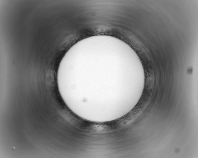 X0000103130654200809191942