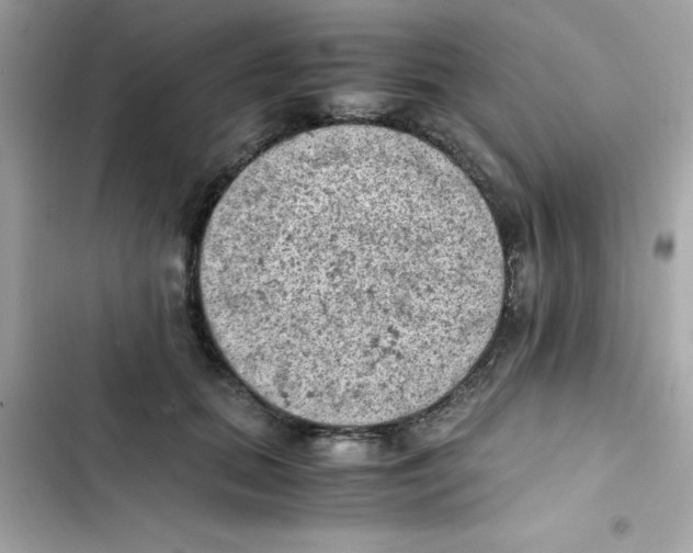 X0000103130655200809191942