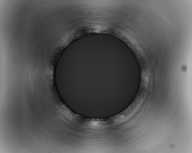 X0000103130657200809191942