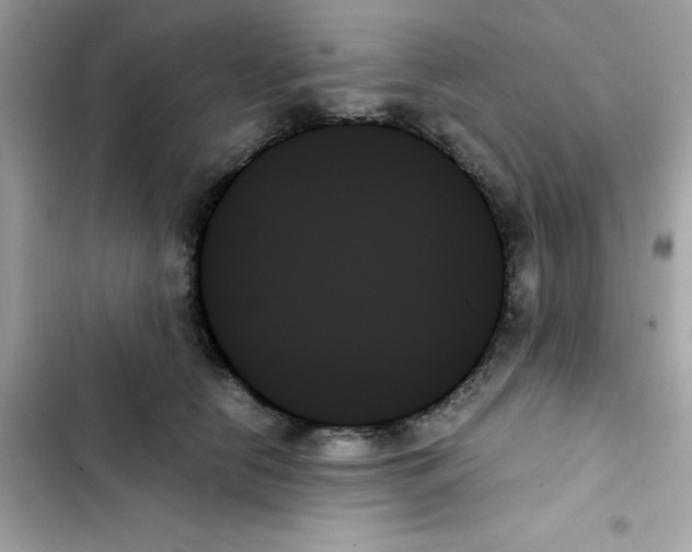 X0000103130658200809191942