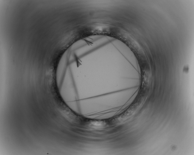 X0000103130659200809191942