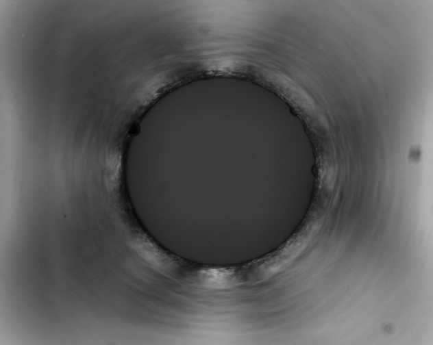 X0000103130660200809191942