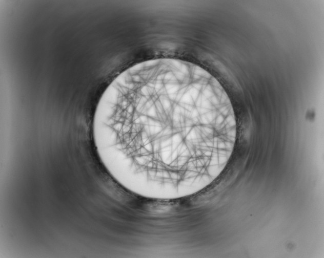 X0000103130661200809191942