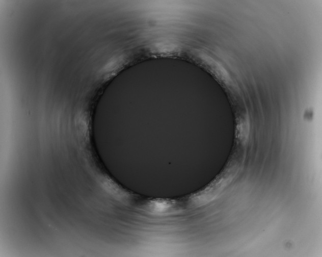X0000103130662200809191942
