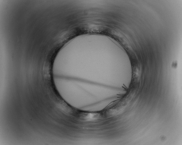 X0000103130663200809191942