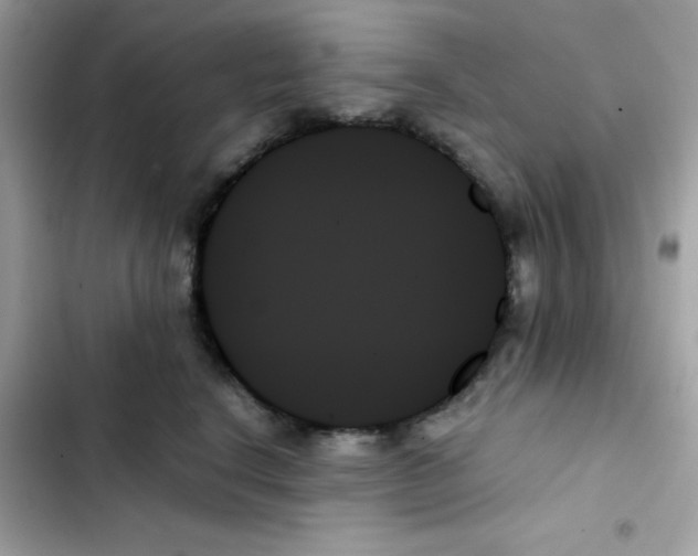 X0000103130664200809191942
