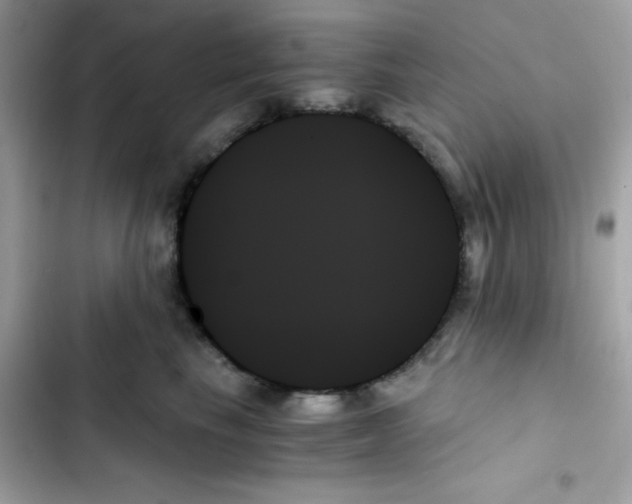 X0000103130665200809191942