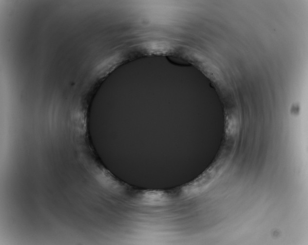 X0000103130666200809191942