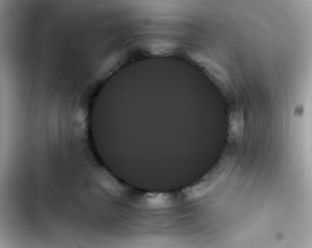 X0000103130667200809191942