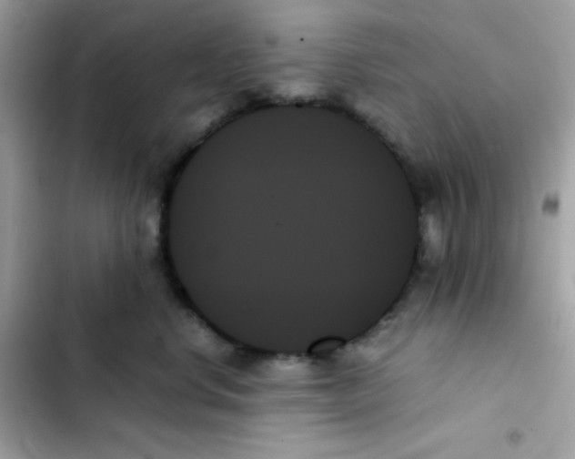 X0000103130668200809191942
