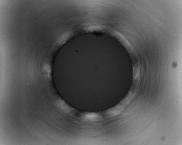 X0000103130669200809191942