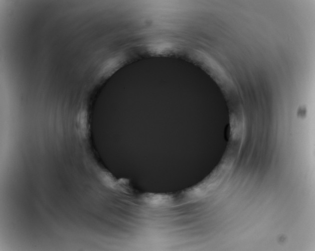 X0000103130670200809191942