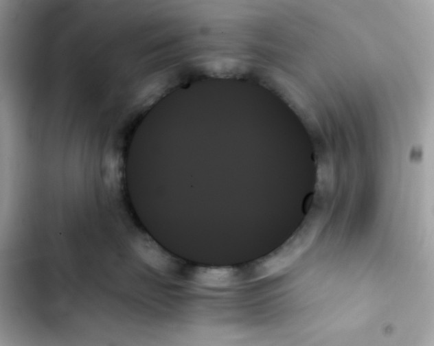 X0000103130671200809191942