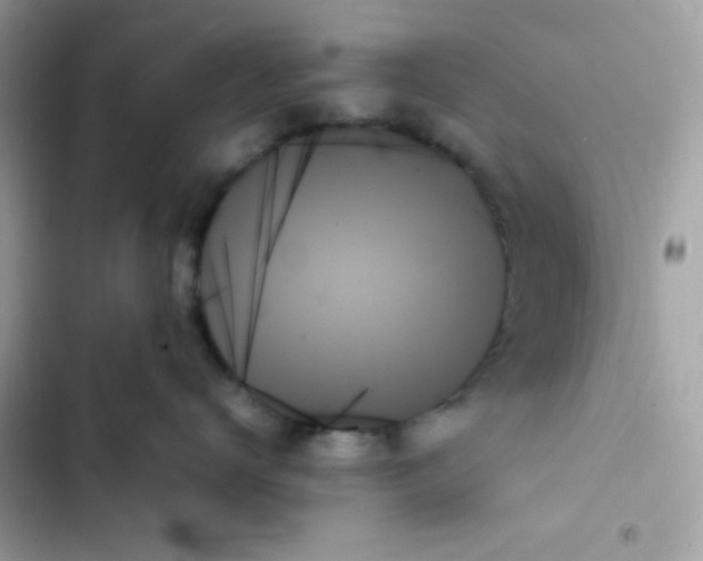 X0000103130672200809191942