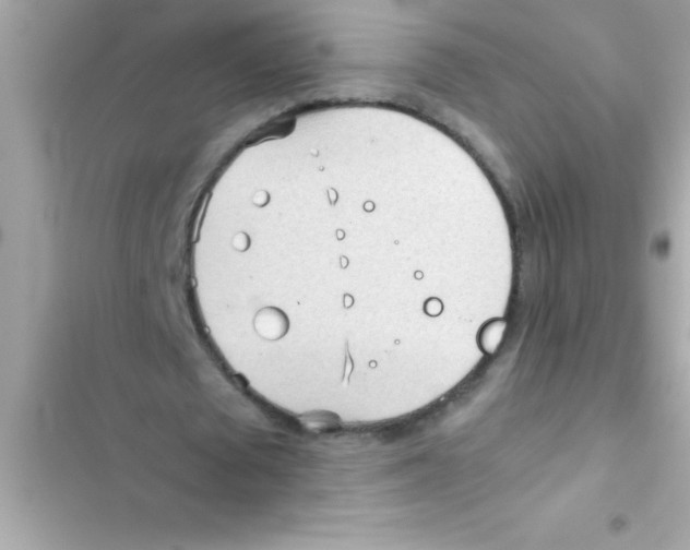 X0000103130673200809191942
