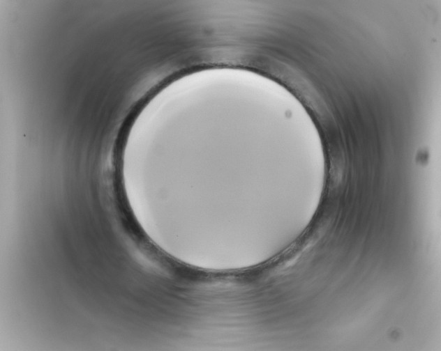 X0000103130674200809191942