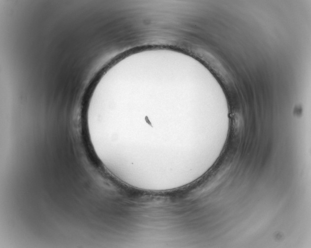 X0000103130676200809191942