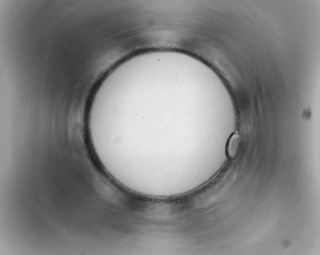 X0000103130677200809191942