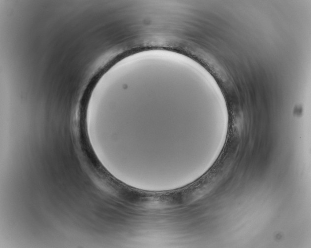 X0000103130678200809191942