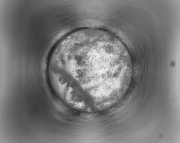 X0000103130679200809191942