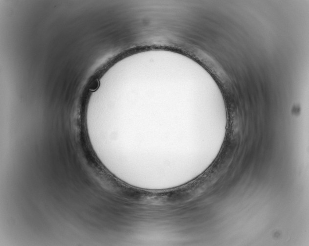 X0000103130680200809191942