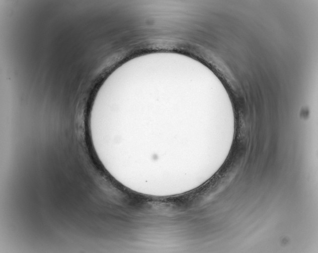 X0000103130681200809191941
