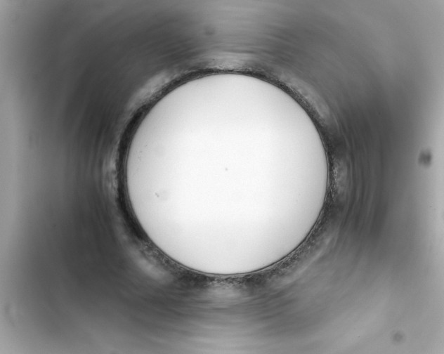X0000103130682200809191941