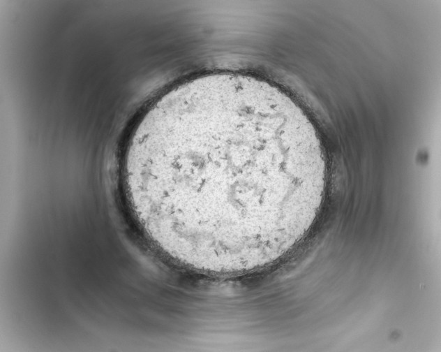 X0000103130683200809191941