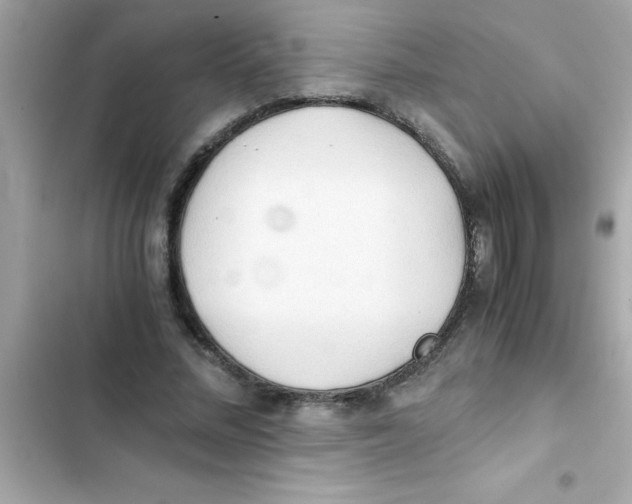 X0000103130684200809191941