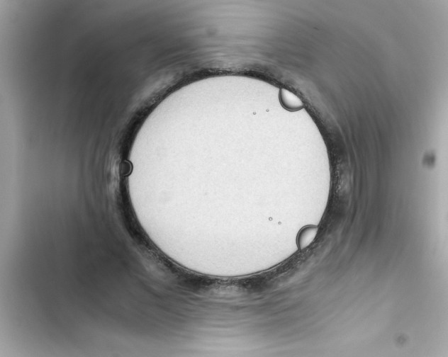 X0000103130685200809191941
