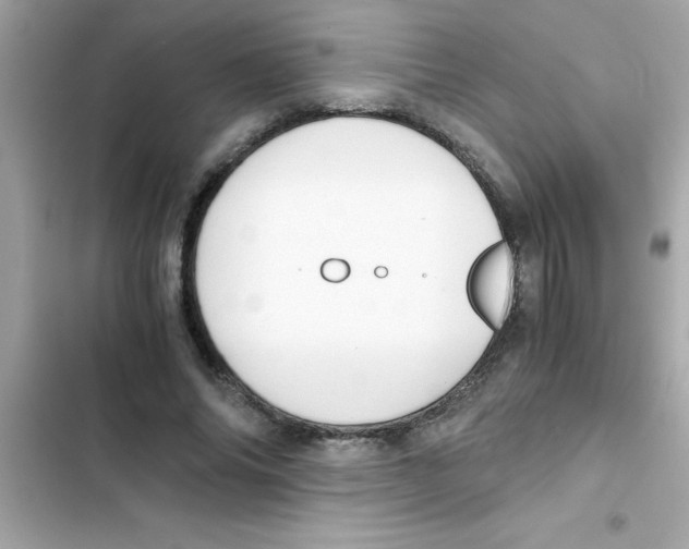 X0000103130686200809191941
