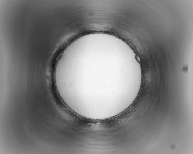 X0000103130688200809191941