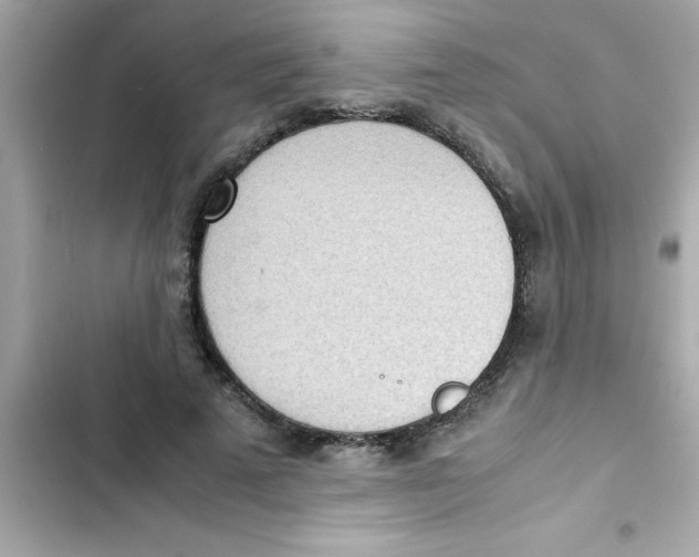 X0000103130689200809191941