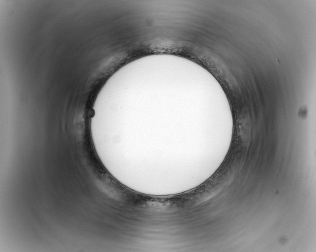 X0000103130690200809191941