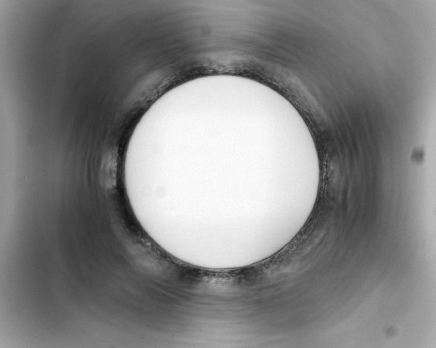X0000103130694200809191941