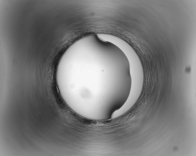 X0000103130695200809191941