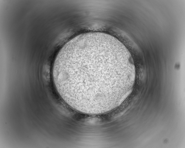 X0000103130696200809191941