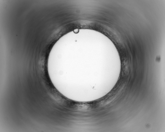 X0000103130698200809191941