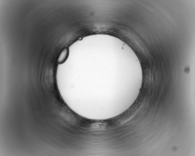 X0000103130700200809191941