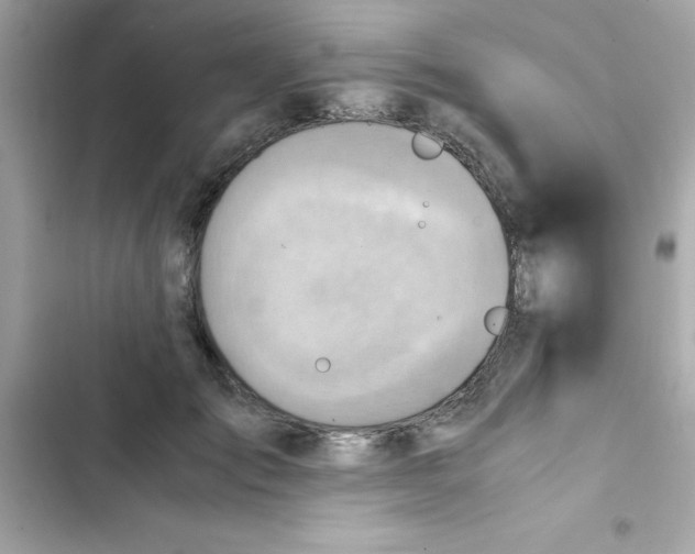 X0000103130701200809191941