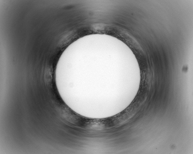 X0000103130702200809191941